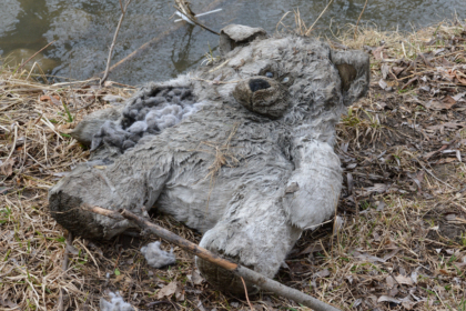 Germany is Not Your Friend